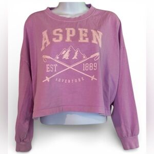 Wild Fable | Purple/Pink |  Graphic Crop Sweatshirt | EUC